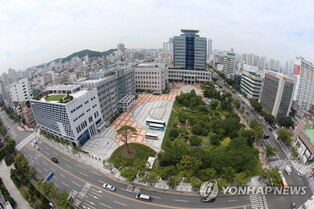 울산시청 안에 모내기까지 하는 '논 정원' 생겼다