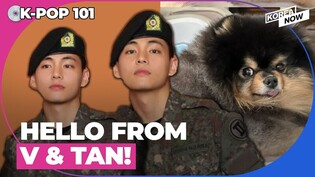 BTS V delights fans with military photos (feat. TAN)