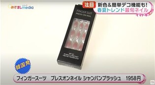 에코마케팅 "핑거수트·안다르 일본공략 강화…방송서도 소개"