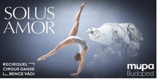 20주년 맞은 부산국제무용제 내달 7일 개막…시내 곳곳 무대