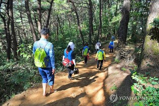 원주 맨발걷기축제 시즌2…29일 동화마을수목원서 개최
