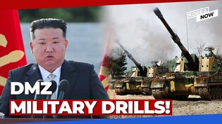 S. Korea FULLY suspends 2018 military pact with N. Korea - what next?