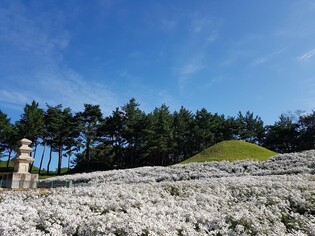 무열왕릉 동네는 어떻게 '핫플'이 됐을까…경주 서악마을의 변신