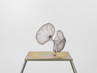 보이지 않지만 시공간 변화시키는 자연의 힘…마르그리트 위모展