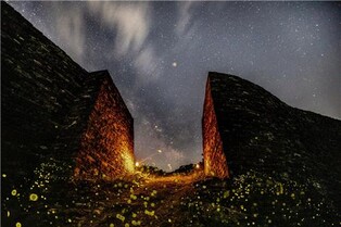 [픽! 단양] 온달산성 성벽 훤히 밝힌 반딧불이 군무