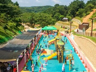 "여름꽃 활짝 핀 충남으로 오세요" 도내 명소 소개