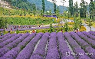 주말엔 강원으로 떠나볼까…무더위 날리는 여름 축제 풍성