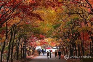 단풍명소와 숨은명소 잇는 인제군 필례계곡 트레킹코스 조성