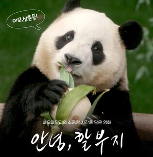 에버랜드, 푸바오와의 못다 한 이야기 영화로 만든다