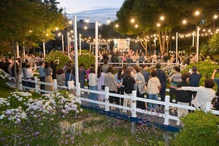 울산 장생포 수국 페스티벌 마무리…"2주간 50만명 이상 방문"