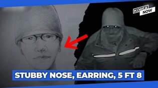 Composite sketch of mystery burglar who broke into late Goo Ha-ra home revealed