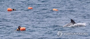 "우영우 촬영지 제주 신도리를 남방큰돌고래 테마 마을로"