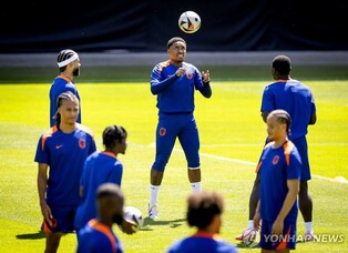 '유로 준결승' 앞둔 네덜란드, 열차 운행 취소에 '진땀 이동'