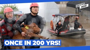 Korea submerged in torrential rain