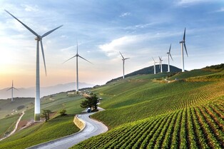 태백시 '매봉산 바람의 언덕' 무료 셔틀버스 운행