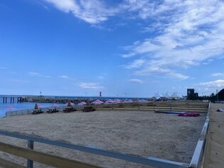 '덕구도 피서가자'…강원 고성 반려동물 해수욕장 내일 개장