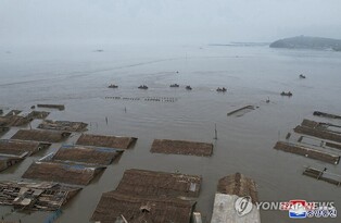 Severe floods in N. Korea could cut its 2024 crop output: FAO