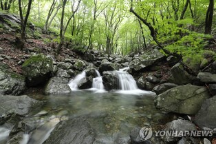 바위틈에서 찬바람 '쌩쌩' 밀양 얼음골…17일 '냉랭한 축제'