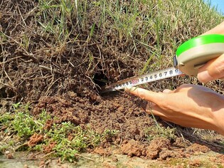 국가유산청 "선릉에 CCTV 추가 설치…궁궐·왕릉 관리체계 강화"