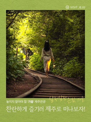 "살랑살랑 은빛 가을"…놓치지 말아야 할 제주 여행지