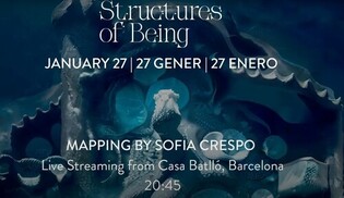 Scrutinizing AI: AI as a New Form of Art