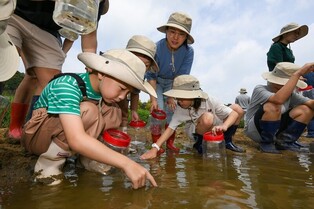 현대모비스, 미호강에 멸종위기종 '미호종개' 3천마리 방류