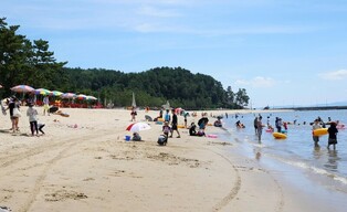 전남 해수욕장 이용객 63만명…인명사고 없어