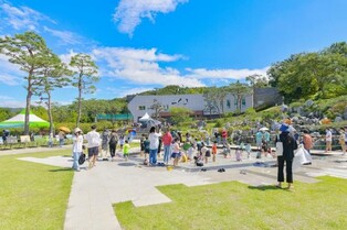 환경청, 다음 달 27일 예산 황새공원 탐방프로그램 운영