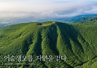 "어승생오름이 한라산보다 형님이래요"…제주 전시회 개막