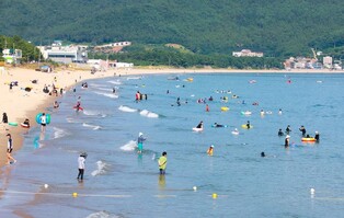 완도 신지 명사십리 올여름 21만 명 다녀가…"해양치유가 견인"