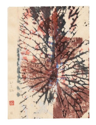 멕시코 작가 가브리엘 오로스코가 만든 '식물도감'