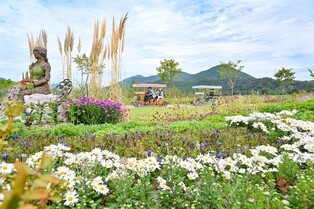 '포천 한탄강 가든 페스타' 7일부터 내달 13일까지 열려