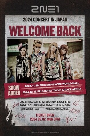 2NE1's Solo Concert Sells Out in Japan