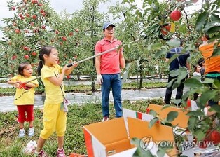 '빨간 맛으로의 초대'…장수군 레드푸드 페스티벌 5일 개막