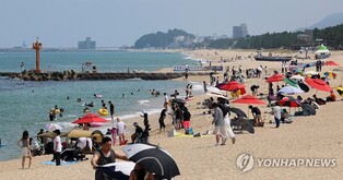 '눈대중으로 슬쩍'…해수욕장 피서객 주먹구구식 집계 '여전'
