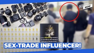 "Black Owl" arrested for filming over 1900 sex videos