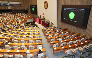 Bill calling for special probe into first lady passed