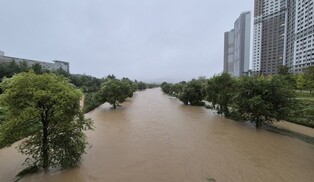 Swollen stream in Daejeon