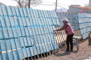 당진 실치잡이ㆍ덕장, 국가유산청 육성 대상에 선정