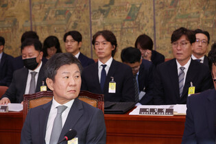 Football chief at parliament