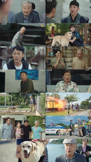 이순재의 미스터리 코미디 '개소리' 4%대 시청률로 출발