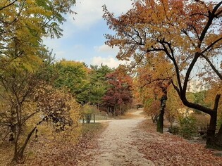 Nine Royal Tomb Forest Trails Open Until November