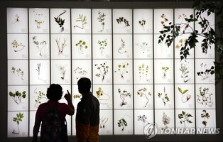 '인기 만점' 산청한방약초축제…개막 3일 만에 12만명 돌파