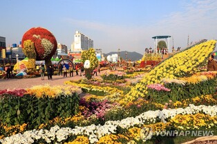 마산가고파국화축제 '국화빛 소망길' 조성…창원시, 소망등 접수