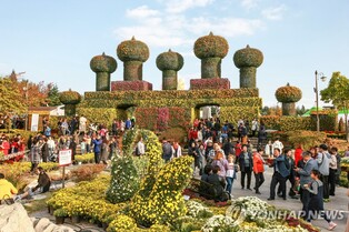 '국화꽃 향기와 정취'…익산서 18∼27일 천만송이 국화축제