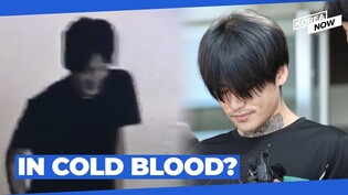 Man who fatally stabbed highschool girl lies to investigators, obstructs probe