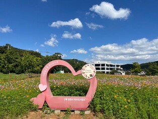 창원 '덕동맑은물 플라워가든' 11일 개방…바다보며 가을꽃 감상