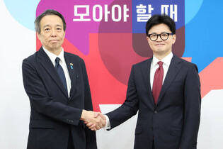 Ruling party chief meets Japanese envoy