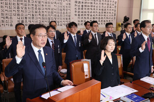 Parliamentary inspection of administration
