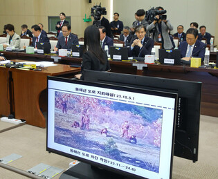 Parliamentary inspection of administration